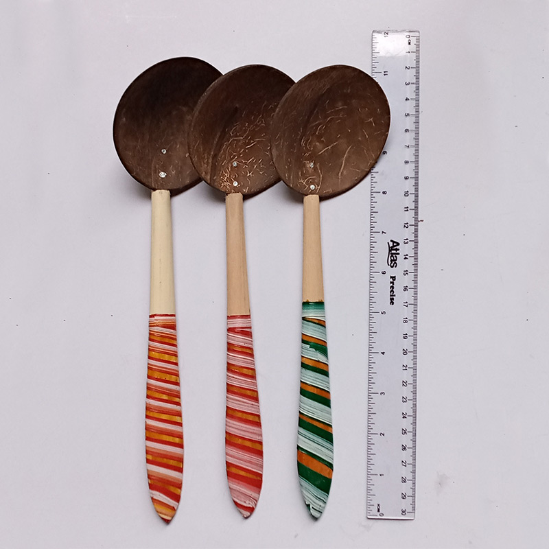 8″ Coconut Shell Colorful Wooden Spoon