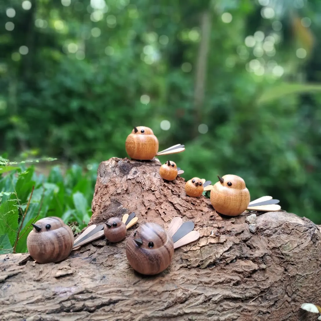 IMG_20240916_210701_208