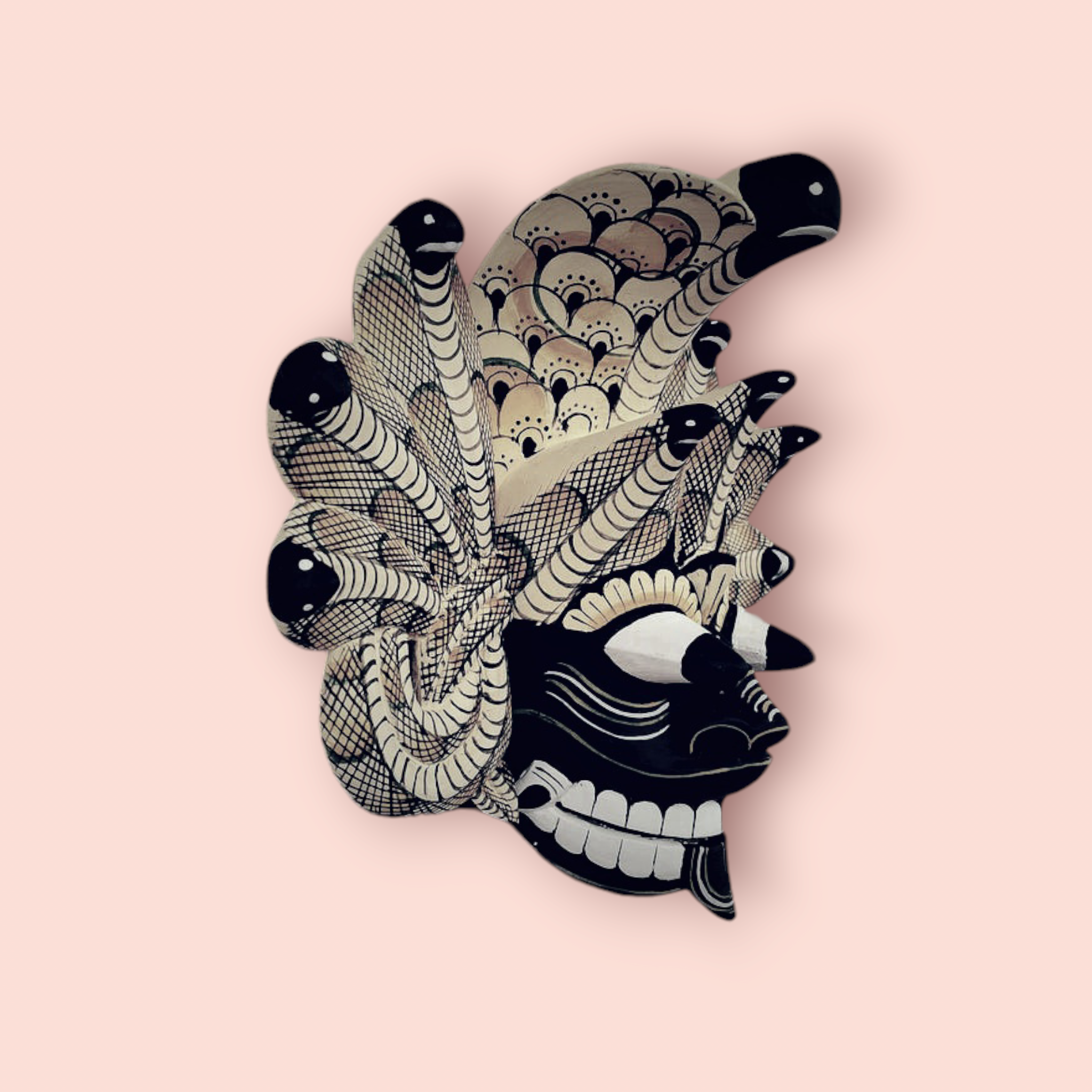 Photoroom-20241102_141527