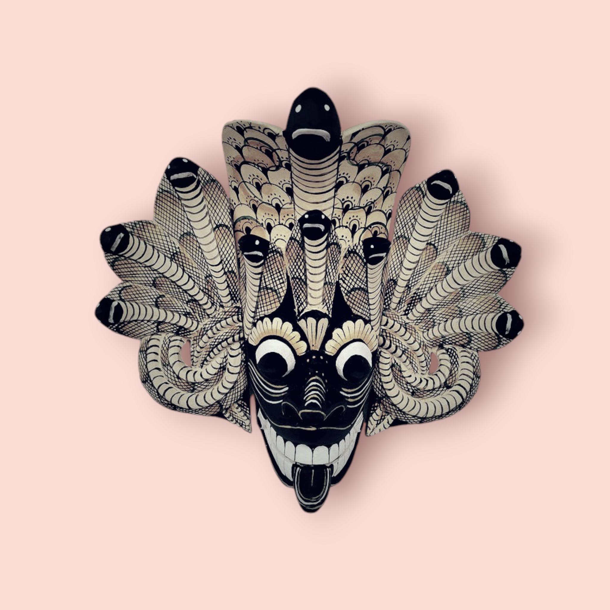 Photoroom-20241102_141816